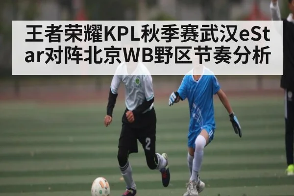 王者荣耀KPL秋季赛武汉eStar对阵北京WB野区节奏分析